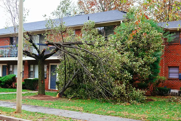 | Troyer Roofing and Construction Wisconsin-roofing-contractor-storm-damage-3